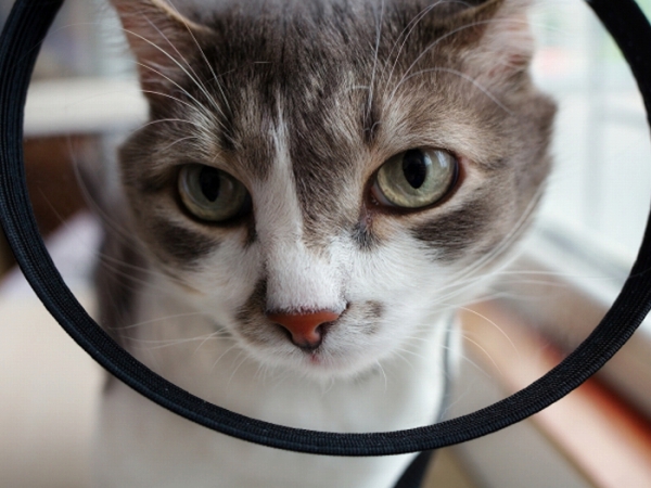 カウンセリング