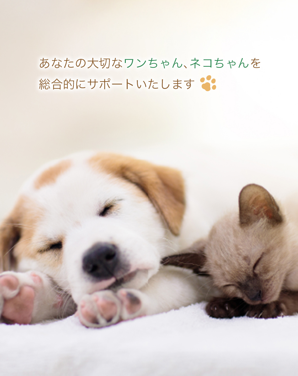 あなたの大切なペットを総合的にサポートいたします