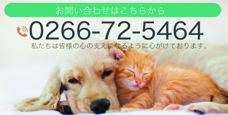 お問い合わせはこちらから 0266-72-5464 診療時間 日曜～土曜 9:00～12:00     月・火・水・金 16:00～19:00  木・土・日・祝日 17:00～19:00 私たちは皆様の心の支えになるように心がけております。